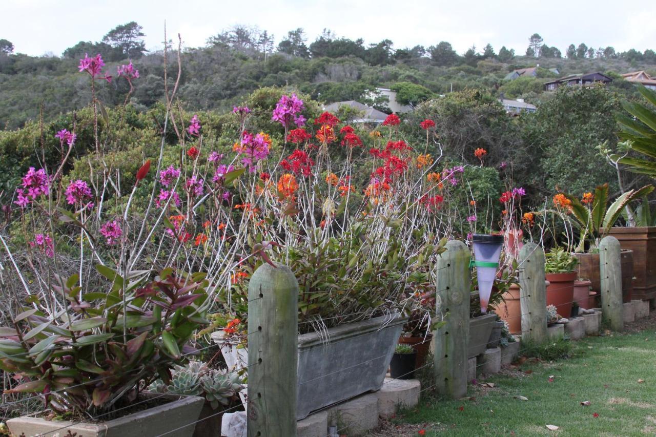 Appartamento Imperani Plettenberg Bay Esterno foto