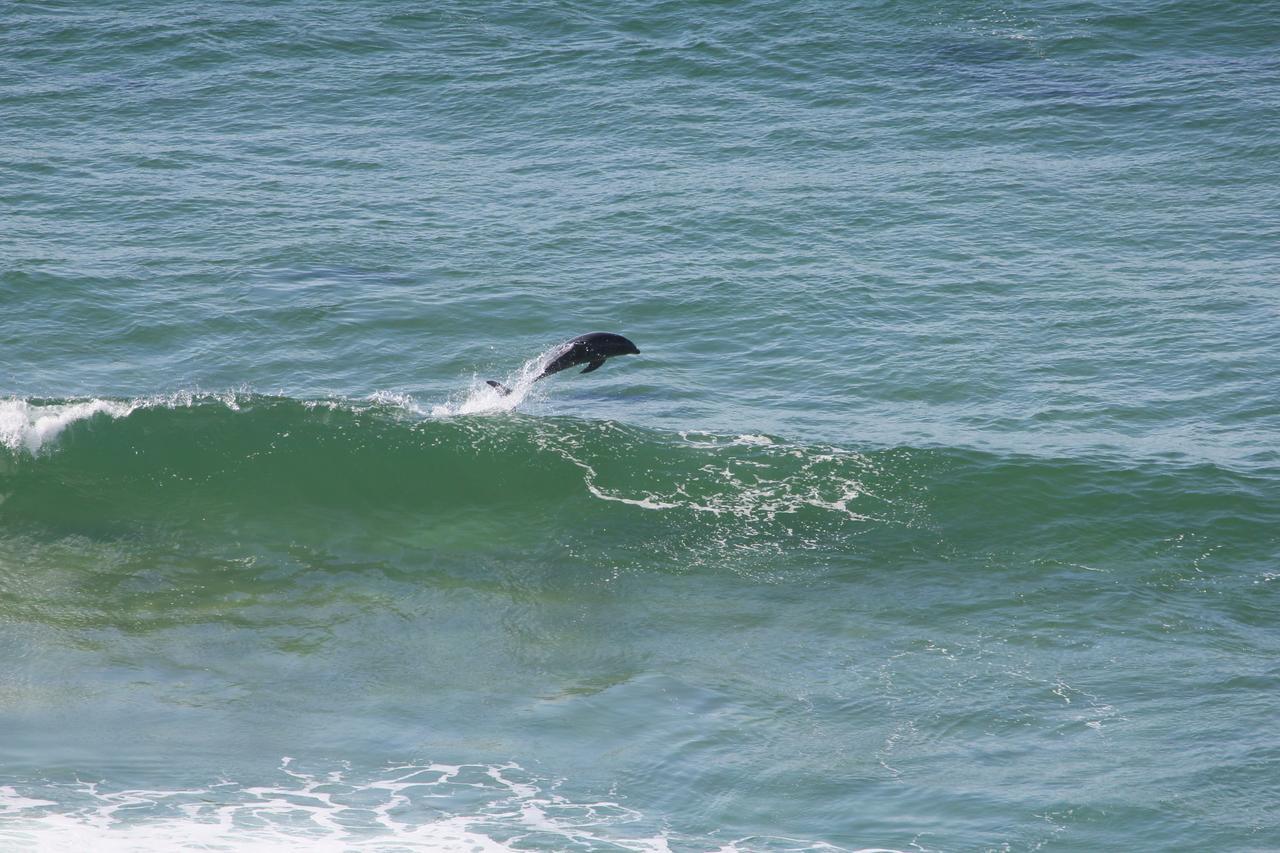 Appartamento Imperani Plettenberg Bay Esterno foto